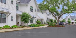Arboretum Village Gallery 19