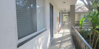 MOVE-IN SPECIAL! Stunning Renovated 1BR in the Heart of South Tampa Gallery 3