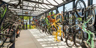 Carmel Center Gallery 26