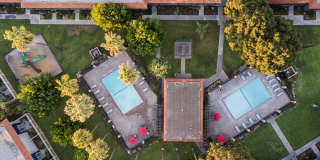 Tierra Palms Gallery 19
