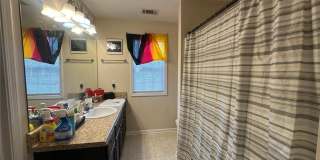 194 Strickland Avenue Gallery 9