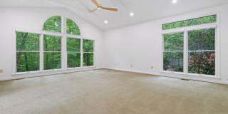 Bolin Creek 4 Bedroom House with Fabulous Forest Views Available May 15! Gallery 8