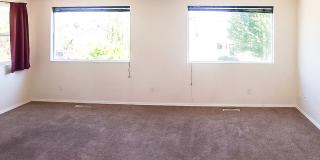 Hard to Find! Pet friendly home with attached garage in Moscow Gallery 20