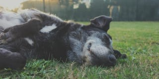 2700 Charlotte Ave Apartments Gallery 23