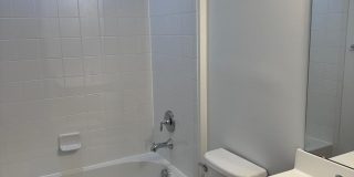 22851 CHESTNUT OAK TER Gallery 16