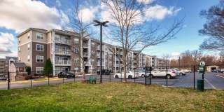 Smith's Landing Gallery 20