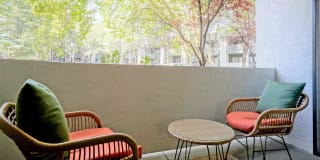 Treehouse Apartments Gallery 18