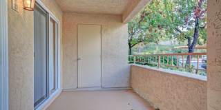 Central Park Gallery 14