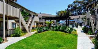 La Jolla Canyon Gallery 26