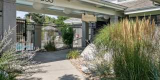 The Magwood Gallery 47