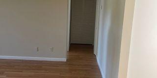 bg1224 bg1224 Gallery 10