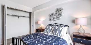 Tall Trees Gallery 4