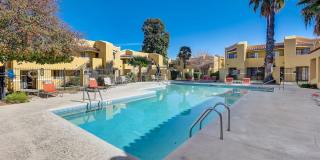 Alterra Apartments Gallery 23