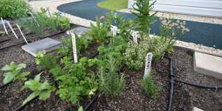 3833 N Broadway Gallery 269