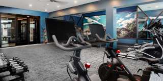 Vintage Stonetrace Gallery 14