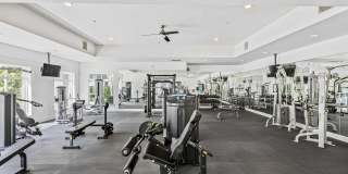 Retreat at John's Creek Gallery 26