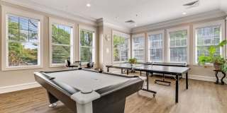 1625 INTERNATIONAL DR #321 Gallery 29