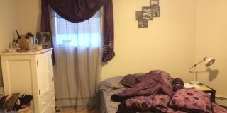 Large Garden Level Unit near T and Brookline Border.  GREAT for BU students! Cat OK Gallery 3