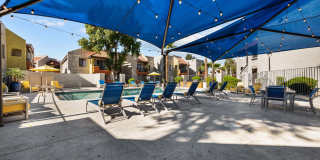 Sierra Walk Gallery 18