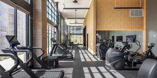 The Collins The Collins Gallery 28