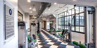 Halstead Haverhill Gallery 17