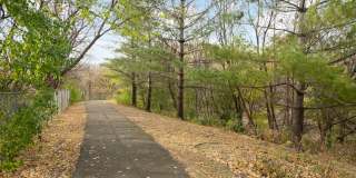 Hinton Heights Gallery 16