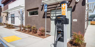 Aurora at Green Valley Gallery 10