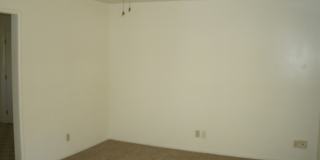 Coming Soon! Gallery 3