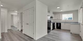 #148 WALNUT SPRINGS Gallery 50