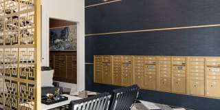Avalon Hawk Gallery 22