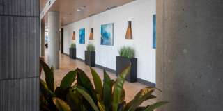 The Charles Gallery 67