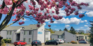 Meadow Ridge Gallery 24