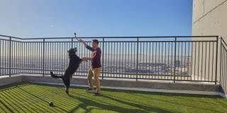 Skye on 6th Gallery 50