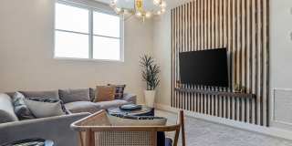 Bell Sunrise Bell Sunrise Gallery 28