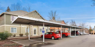 Zachary Park Gallery 14