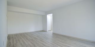 Crystal Springs Gallery 43