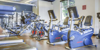 Avida Apartments Gallery 36