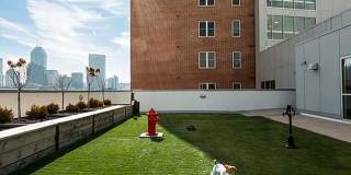 9 on Canal Gallery 7