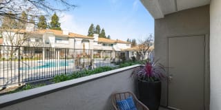 Terra at Portola Park Gallery 15