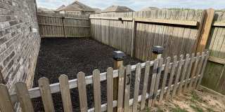 787 Mango Loop Gallery 39