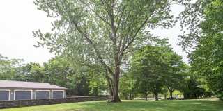 249 County Street Gallery 14