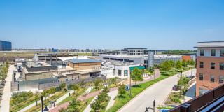 Alta at the Farm Gallery 40