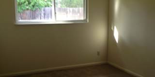 Recently Remodeled Four Bedroom Rosemont Home with Large Backyard! Gallery 9