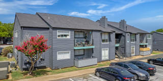 Amp at the Grid Gallery 3