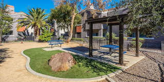 Bloom Apartment Homes Gallery 60