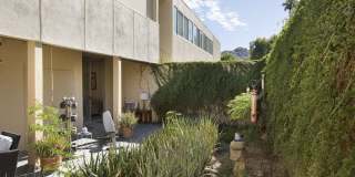 501 Desert Lakes Cir Gallery 49