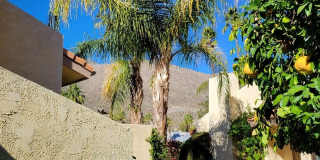 2600 S Palm Canyon Dr Gallery 10