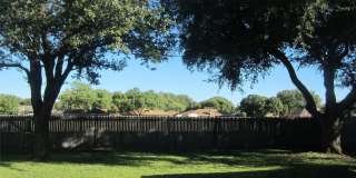 2902 Rex Allen Drive Gallery 21