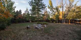 Spacious 4 Bedroom in Mid-Town Fort Collins Gallery 29
