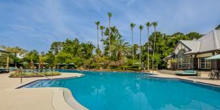 Paradise Island Gallery 1